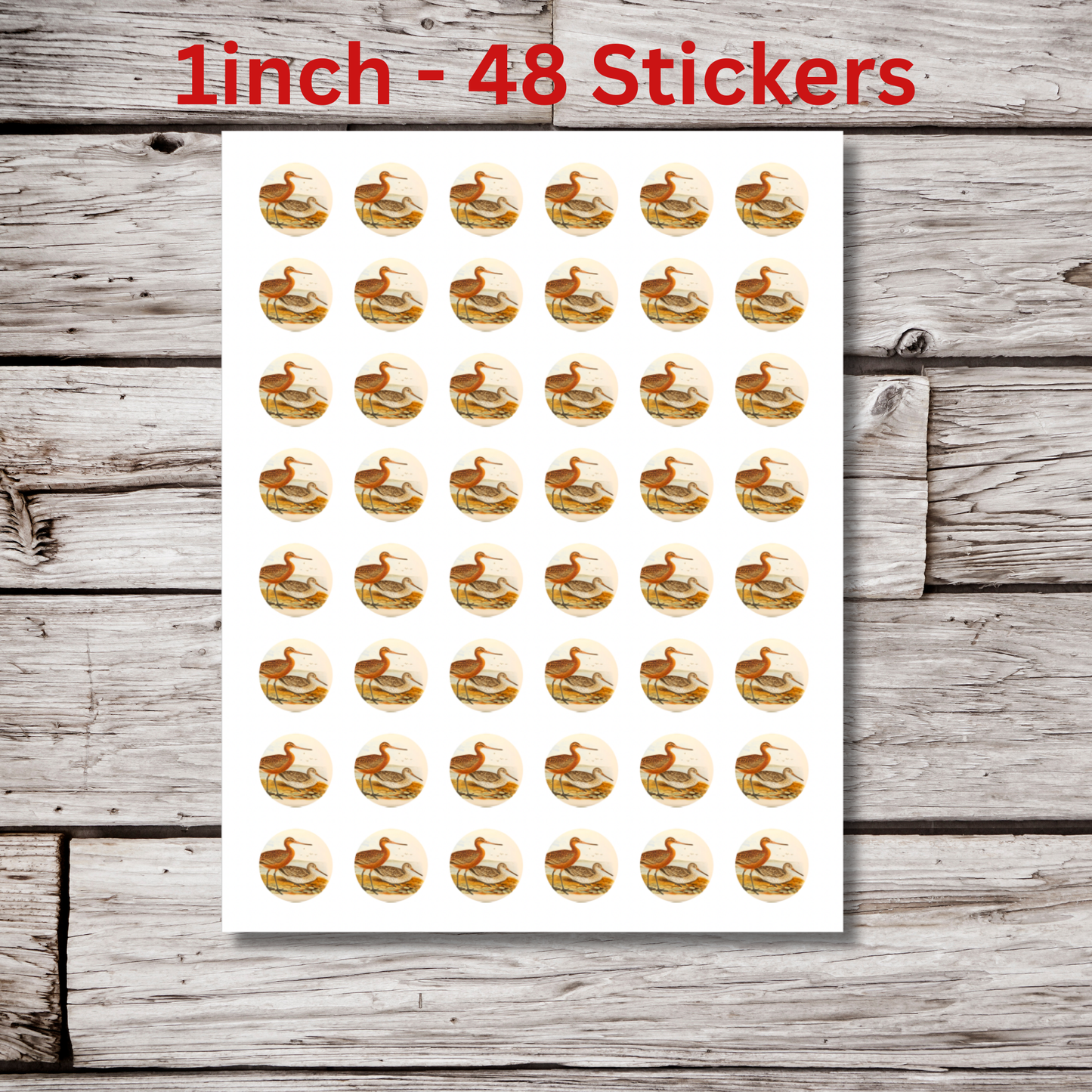 Bar Tailed Godwit Circle Sticker Sheet
