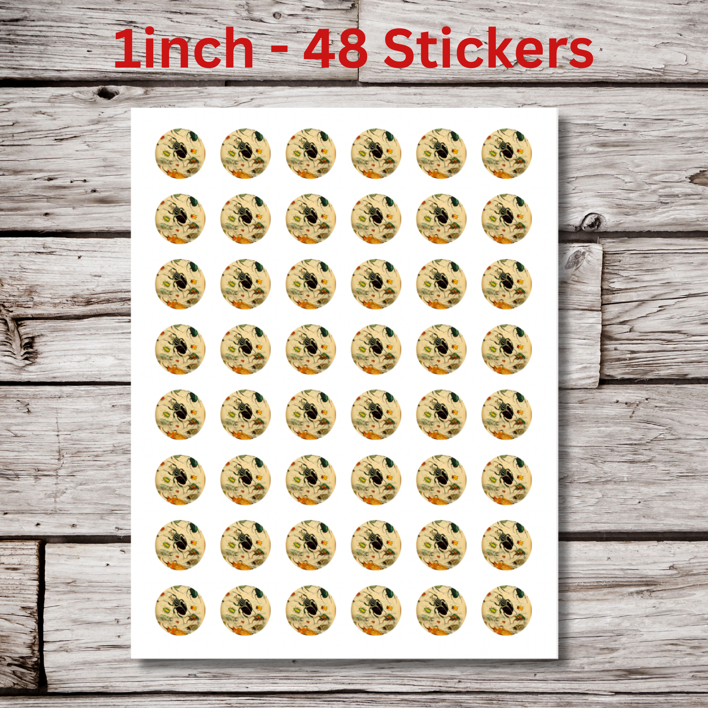 Beetle Circle Sticker Sheet