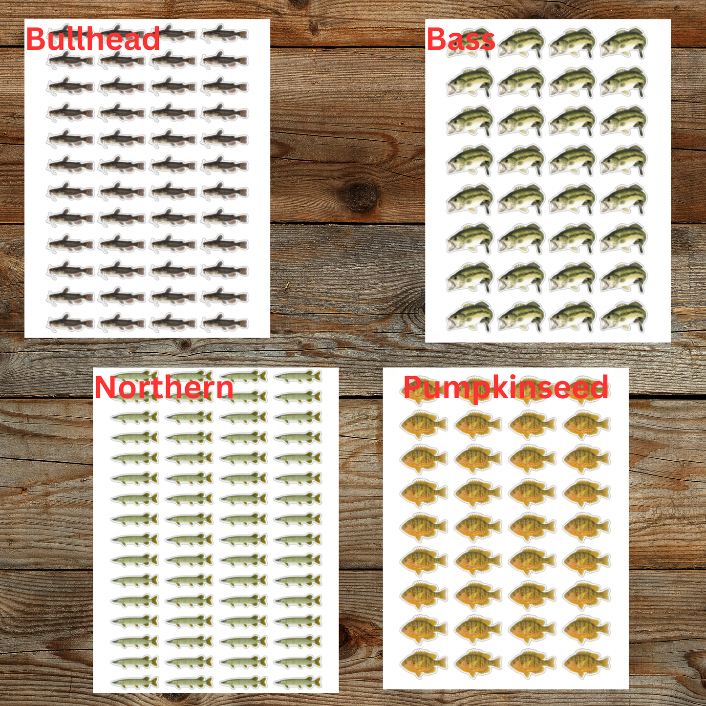 Lake Fish Sticker Sheet