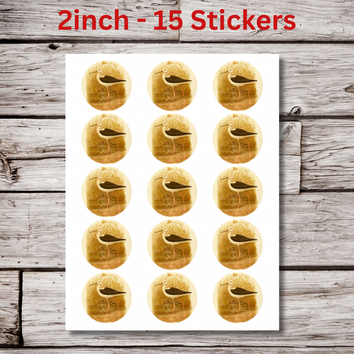 Bird Circle Sticker Sheet