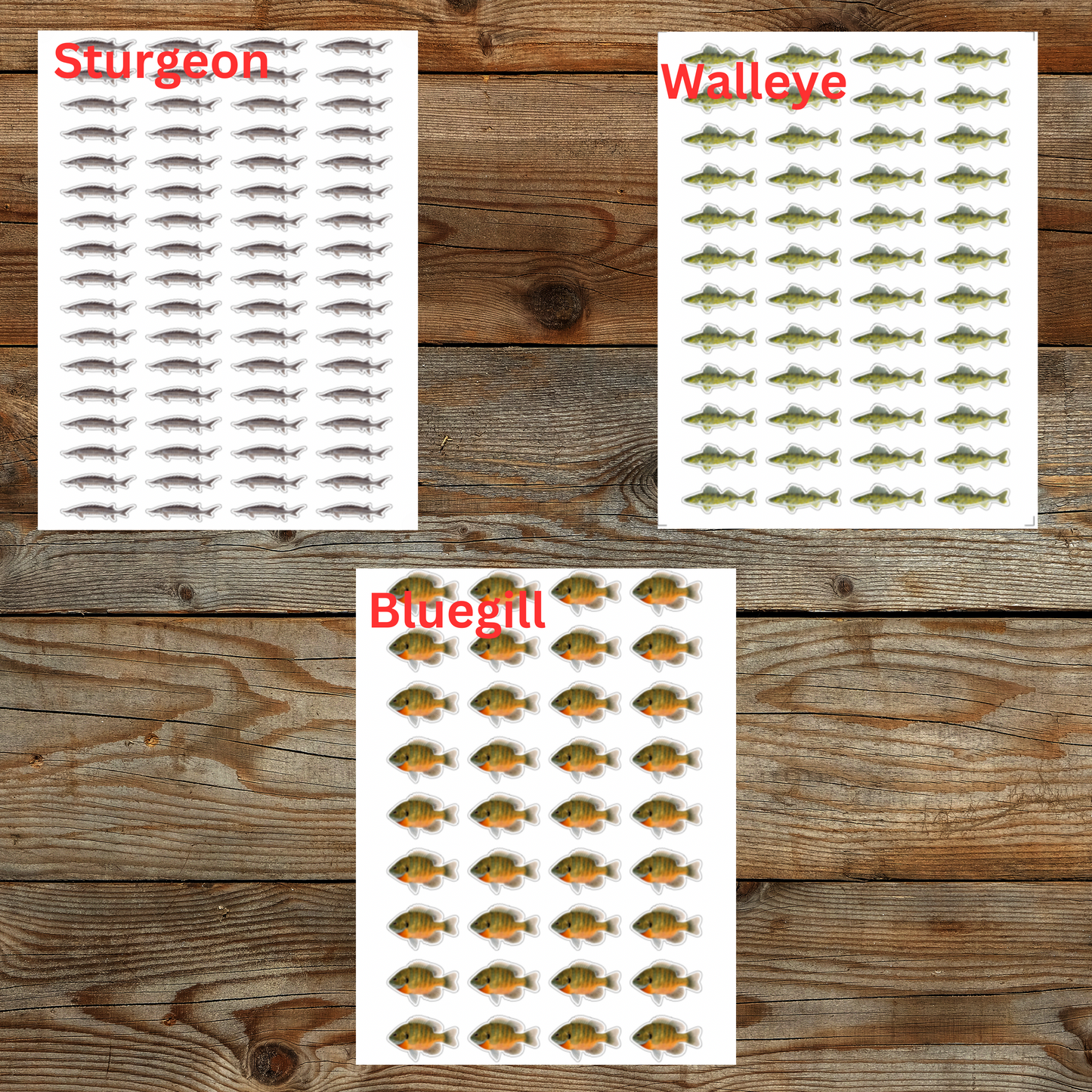 Lake Fish Sticker Sheet