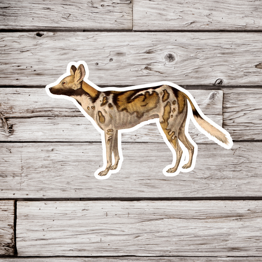 African Wild Dog Sticker