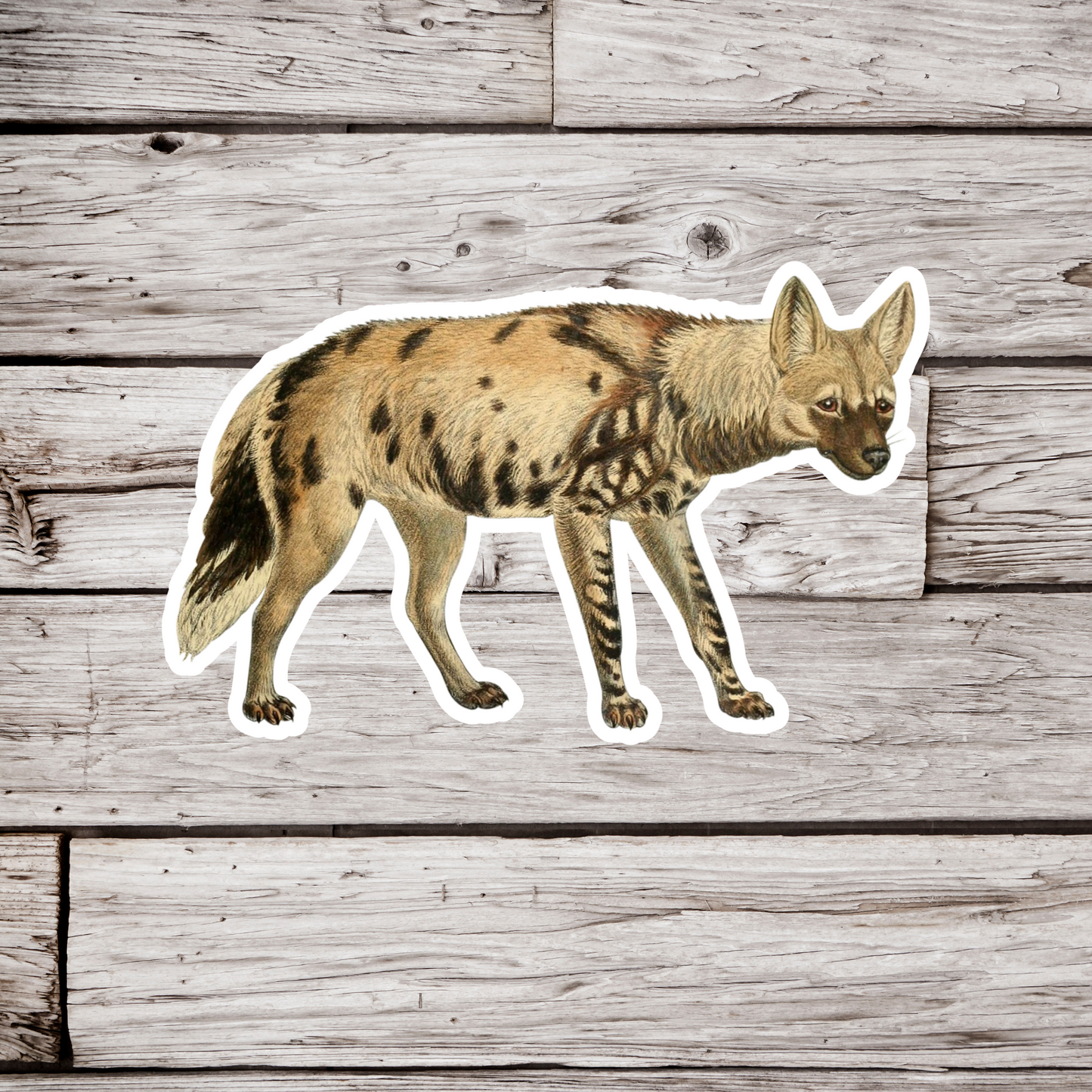 African Wild Dog Sticker