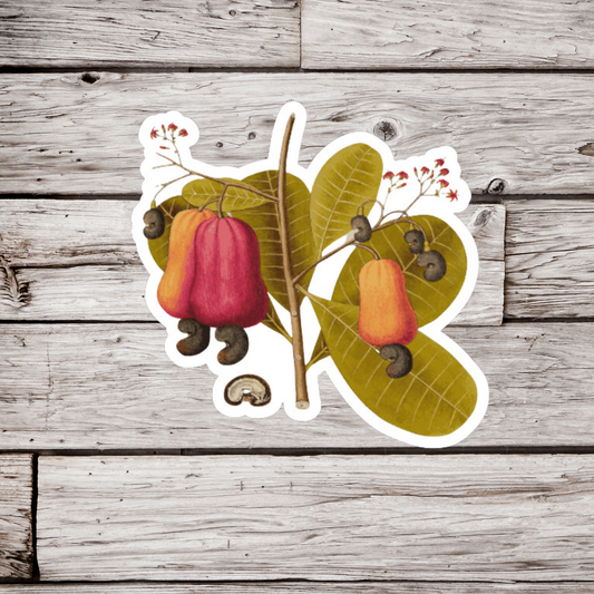 Cashew Plant Sticker or Magnet