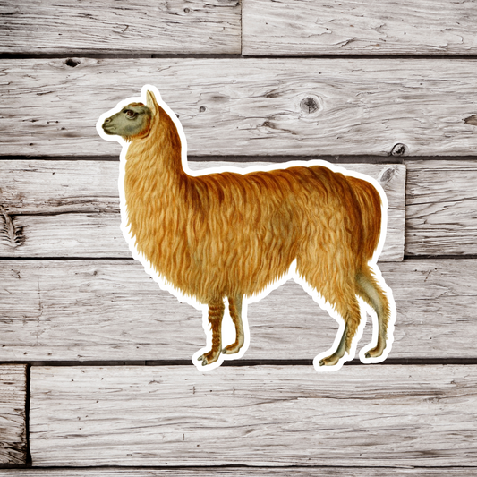 Alpaca Sticker