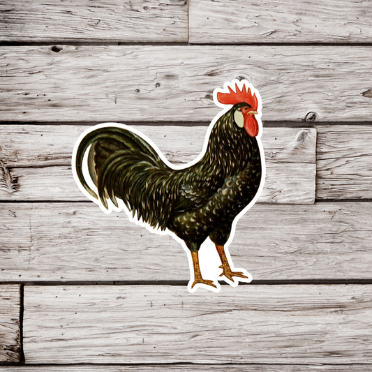 Anconas Chicken Sticker