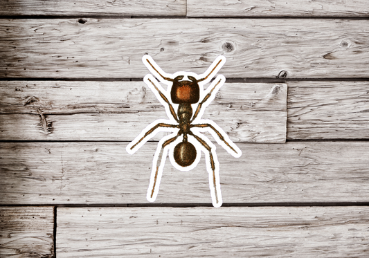 Ant Sticker or Magnet