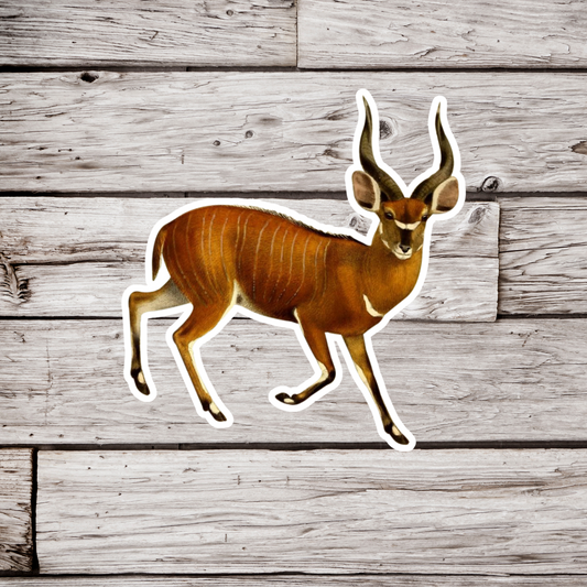 Antelope Sticker