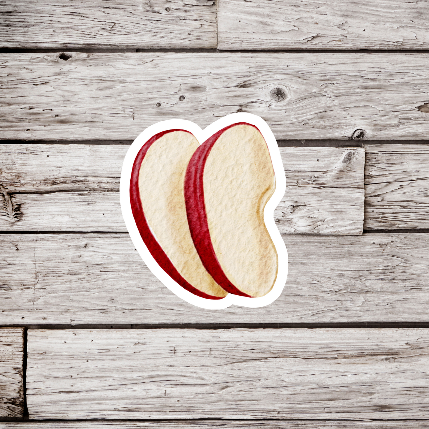 Apple Slices Sticker