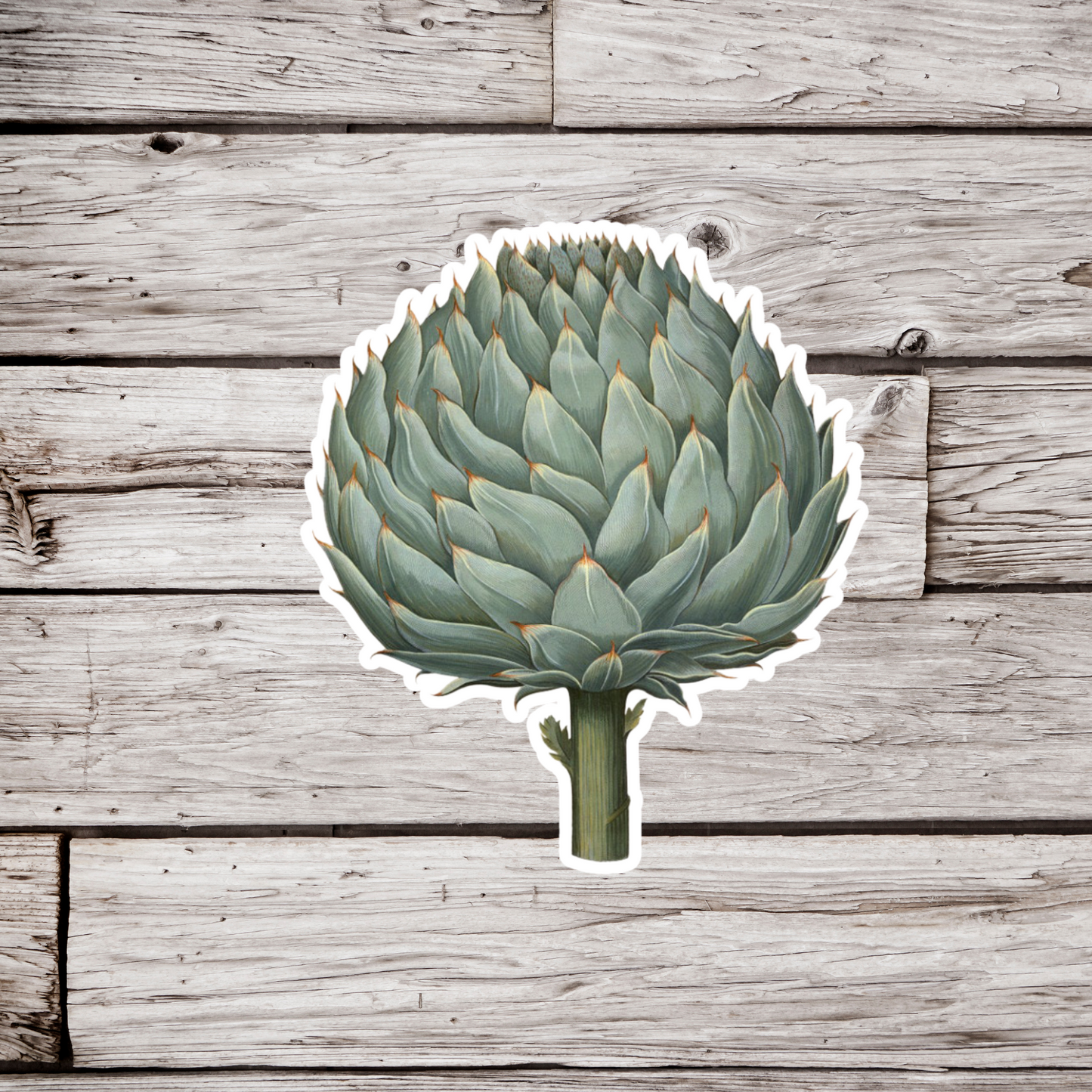 Artichoke Sticker