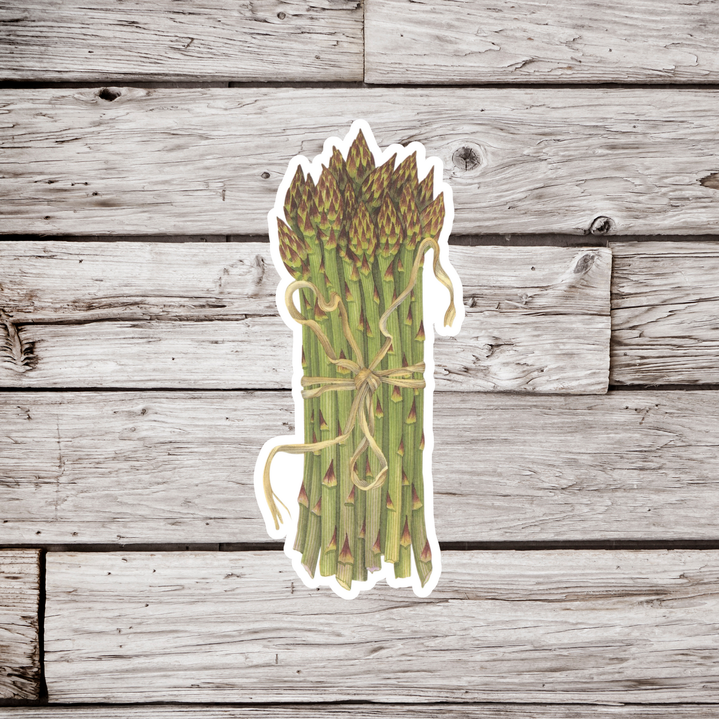 Asparagus Bunch Sticker