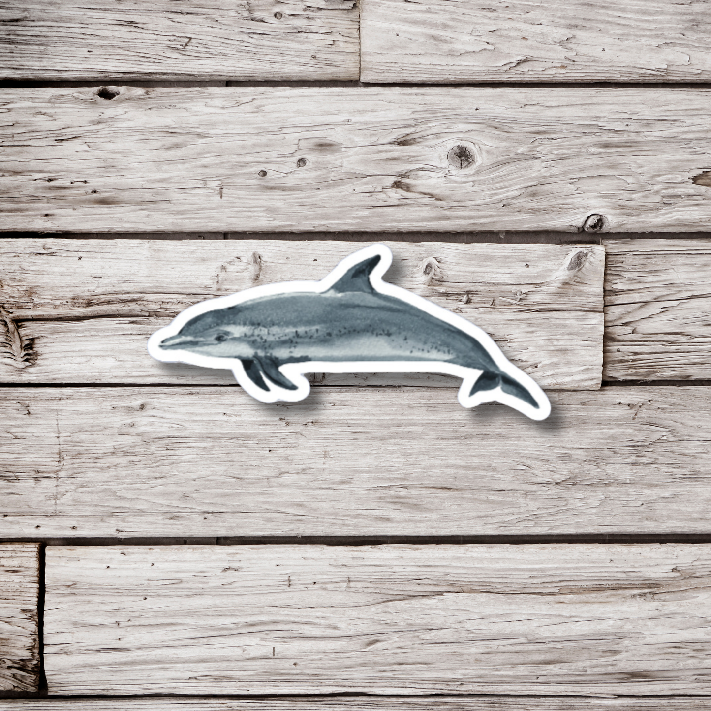 Atlantic Spotted Dolphin Sticker