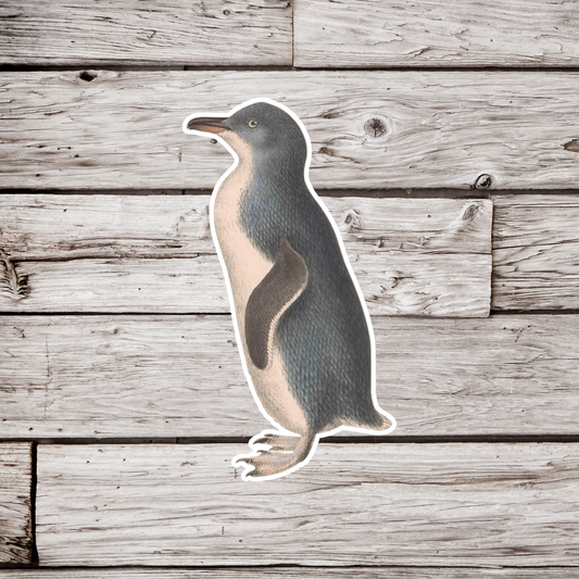 Australian Little Penguin Sticker