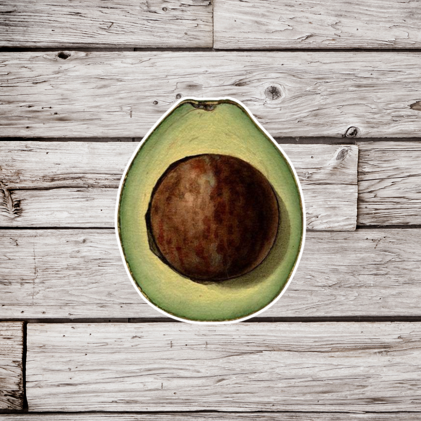 Avocado Sticker