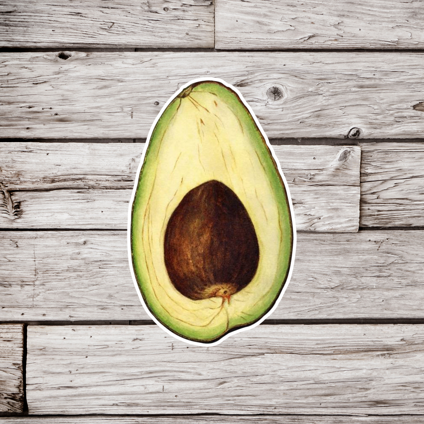 Avocado Sticker