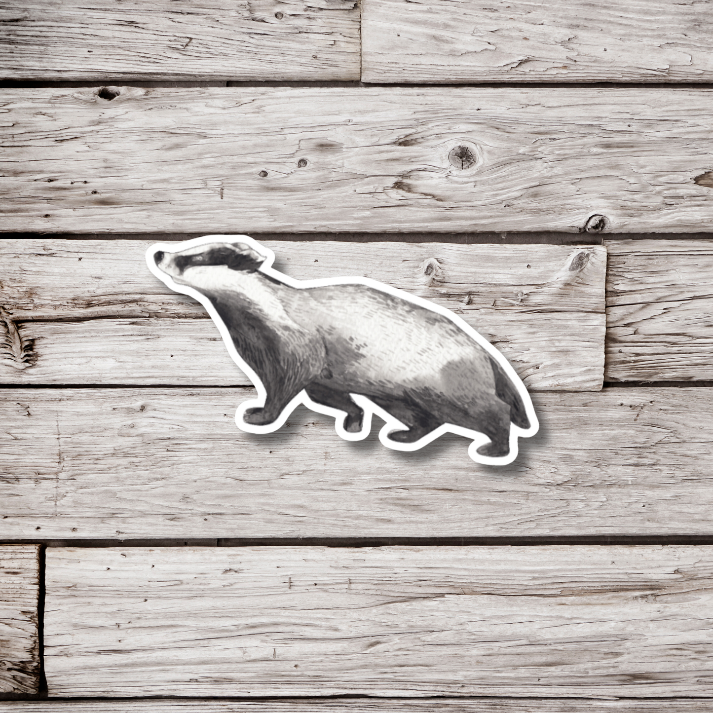 Badger Sticker