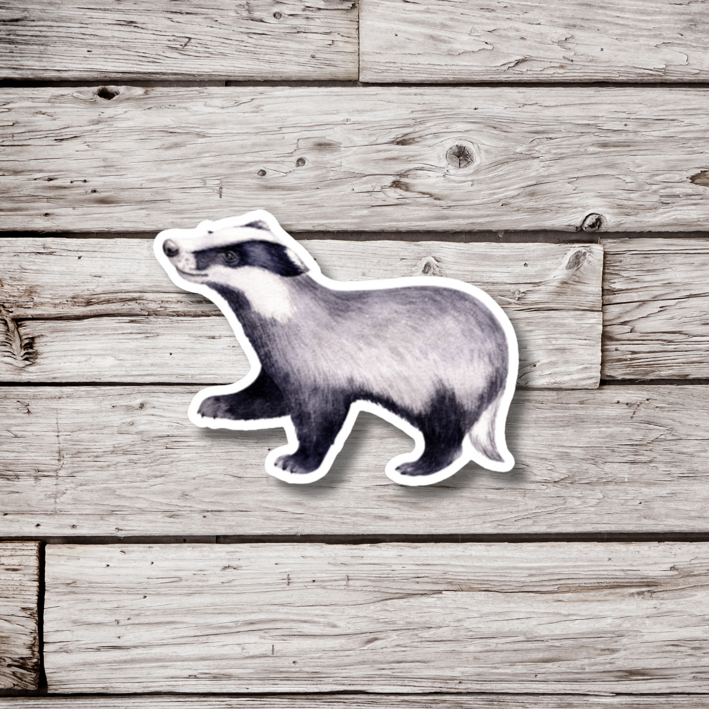 Badger Sticker