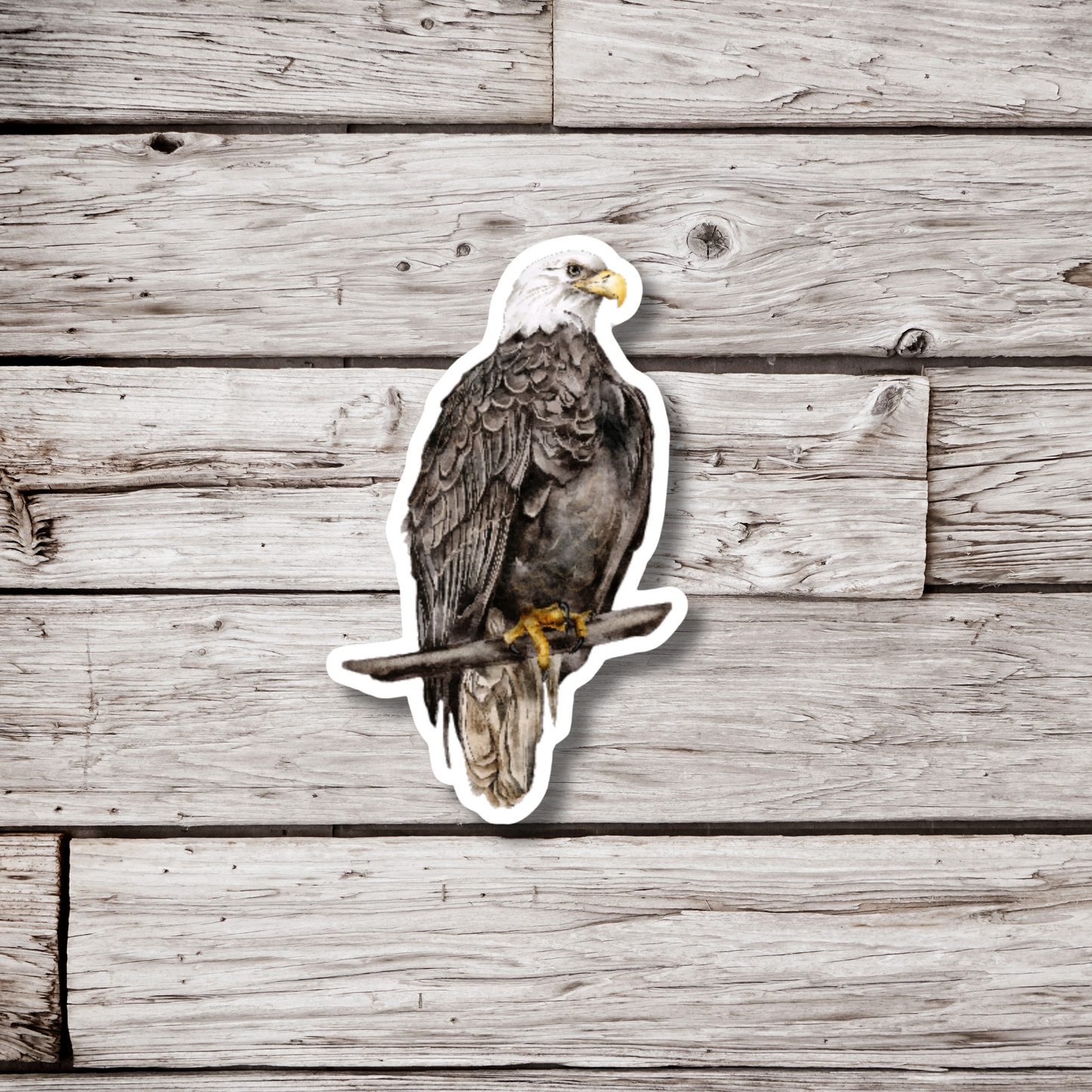 Bald Eagle Sticker