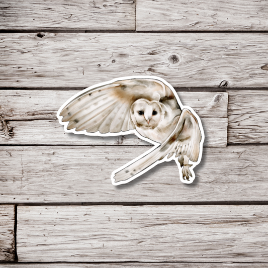 Barn Owl Sticker