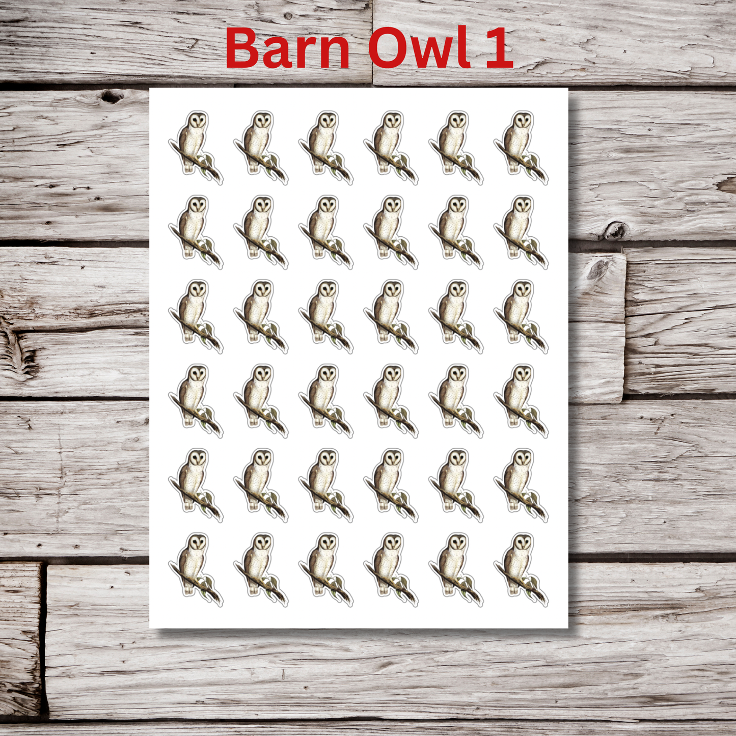 Owl Sticker Sheet