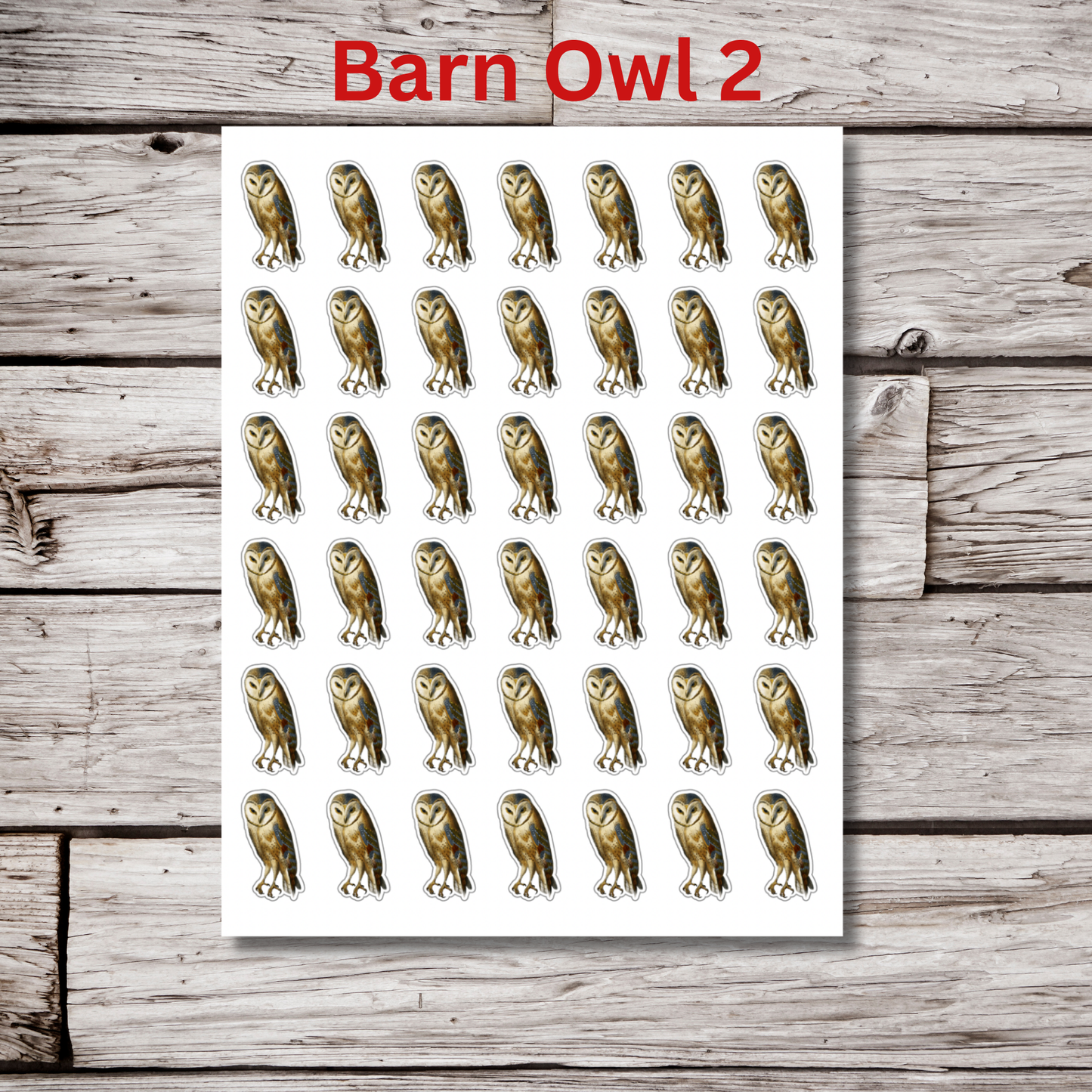 Owl Sticker Sheet