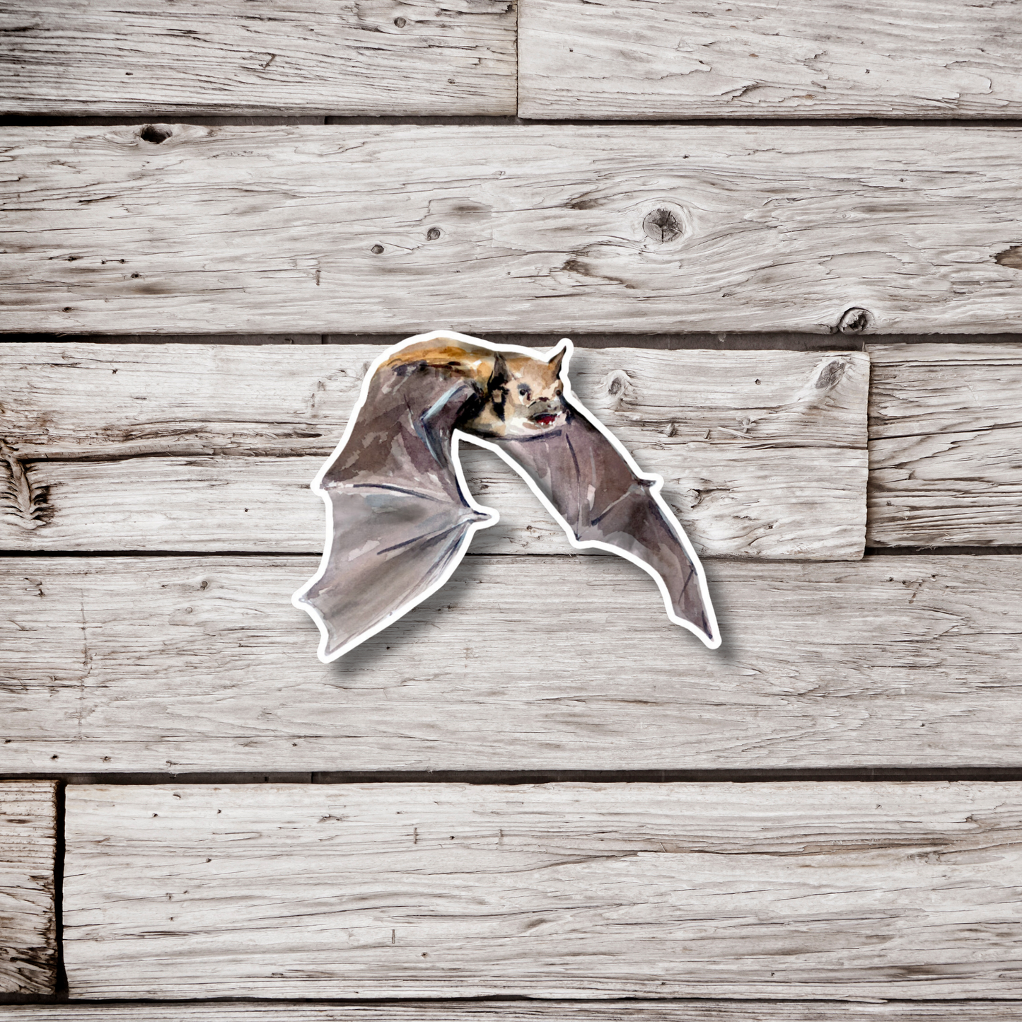 Bat Sticker