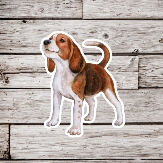 Beagle Sticker or Magnet