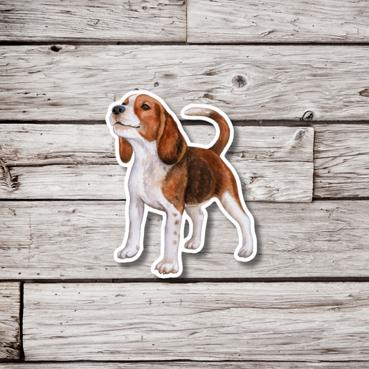 Beagle Sticker