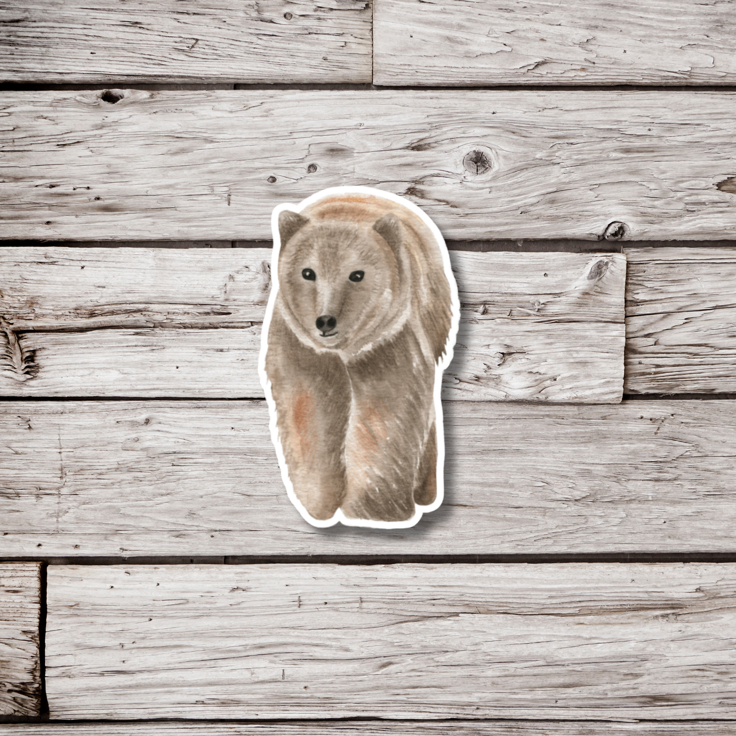 Bear Sticker