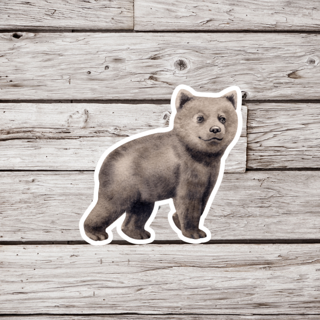 Bear Cub Sticker