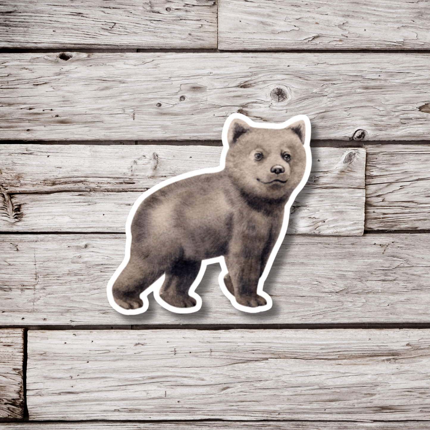 Bear Cub Sticker