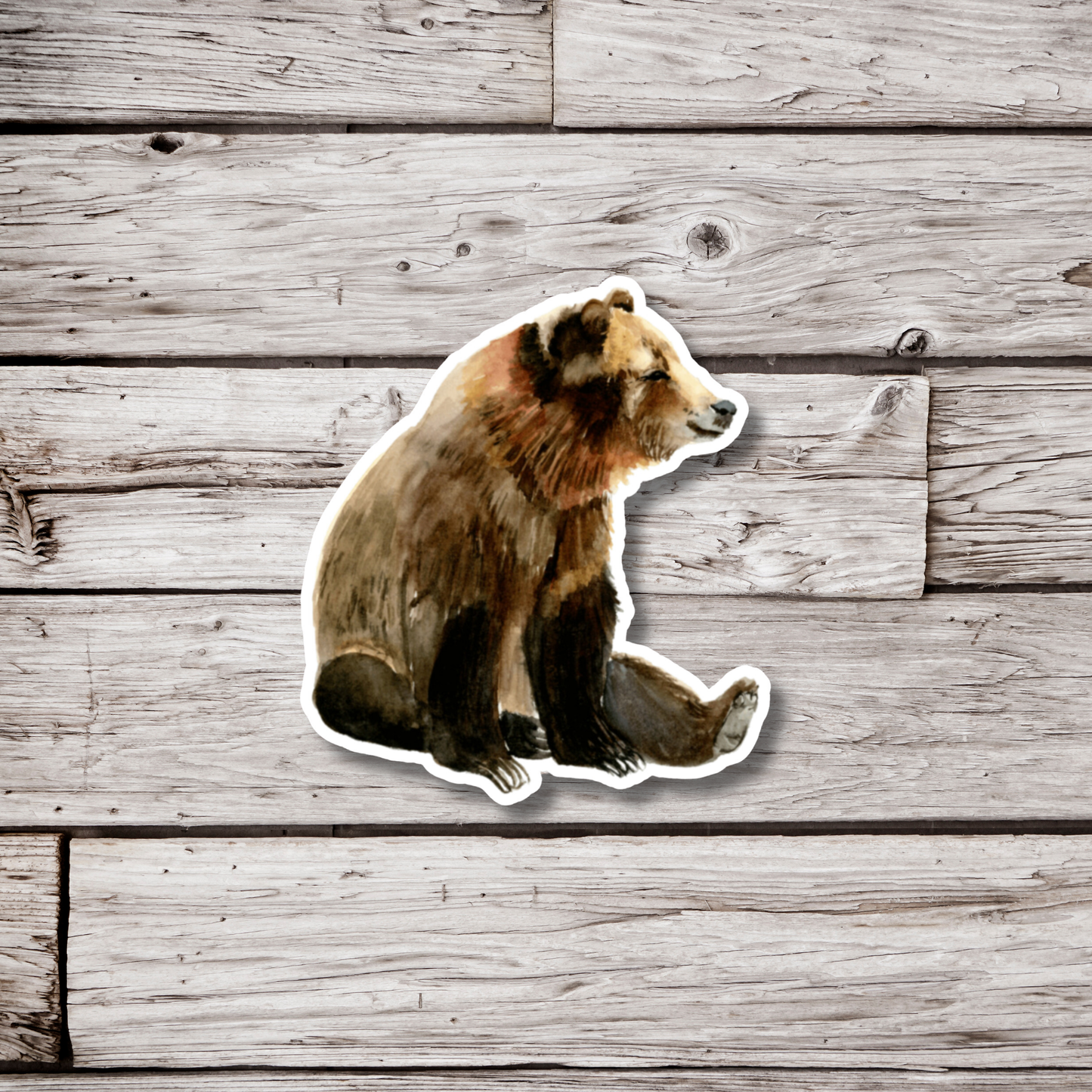 Bear Sticker