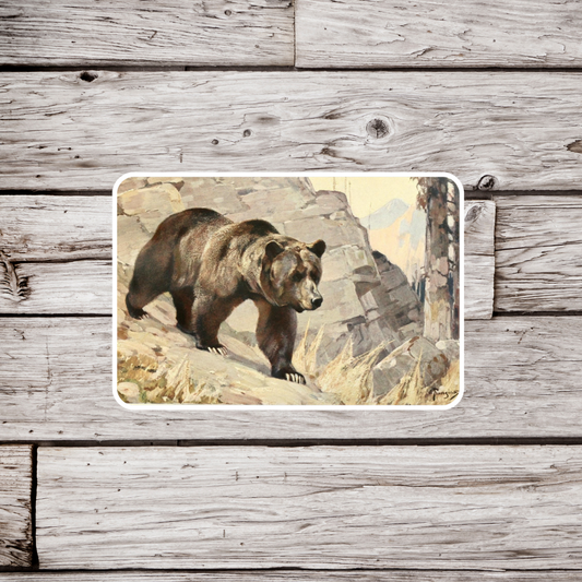 Bear Sticker or Magnet, Bear Magnet, BlacBear Sticker, Grizzle Bear, Animal Sticker, Waterproof Sticker, Vintage Sticker, Fridge Magnet