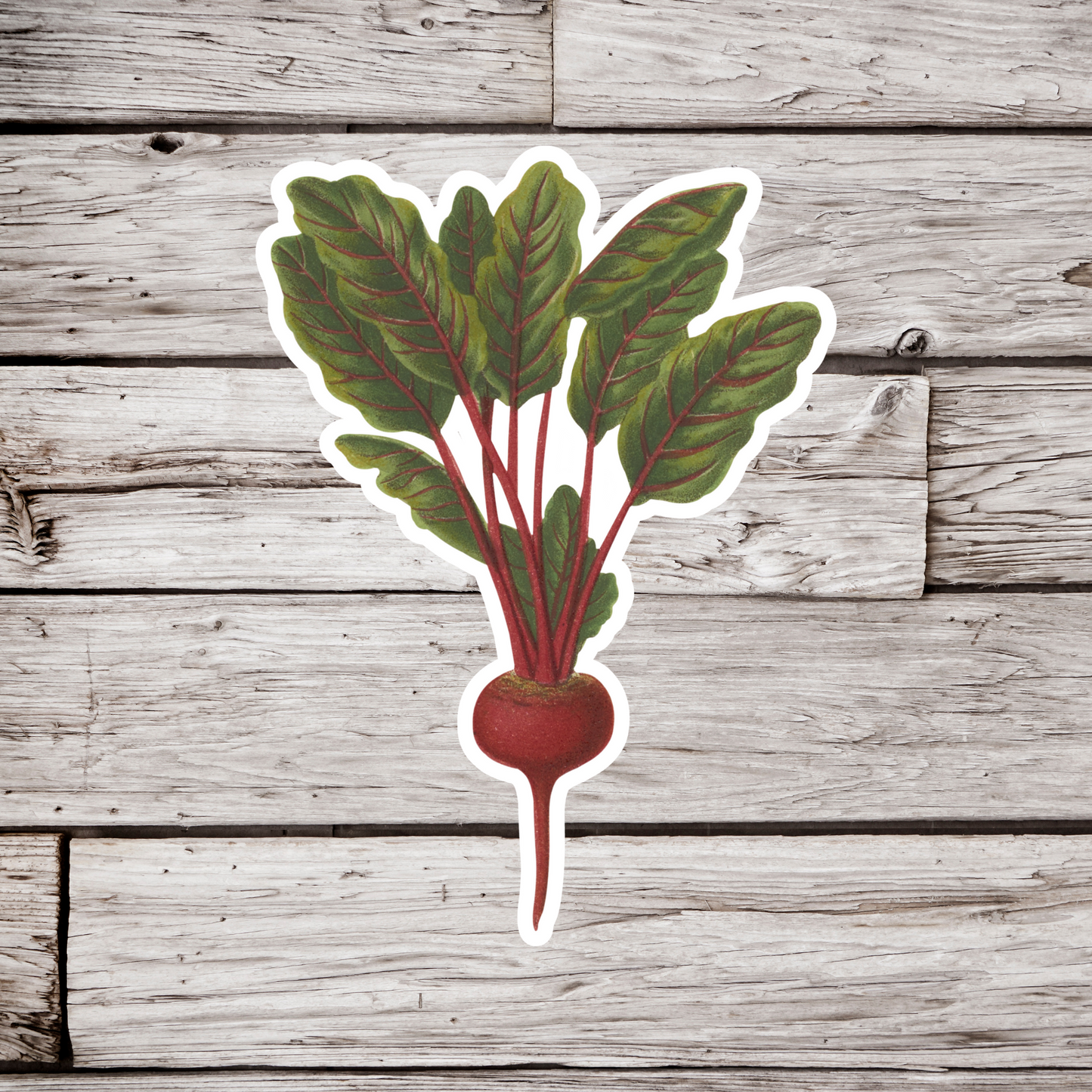 Beet Sticker