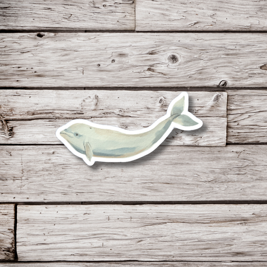 Beluga Whale Sticker