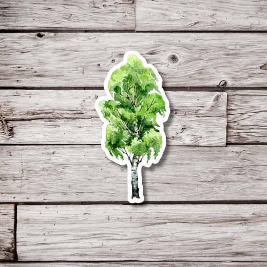 Birch Tree Sticker