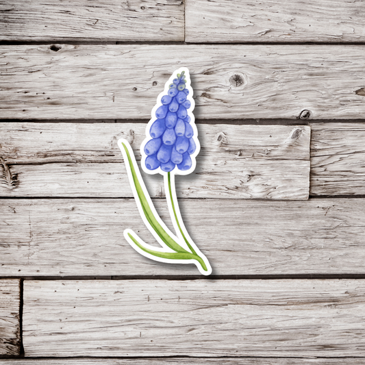 Blue Bells Hyacinth Sticker