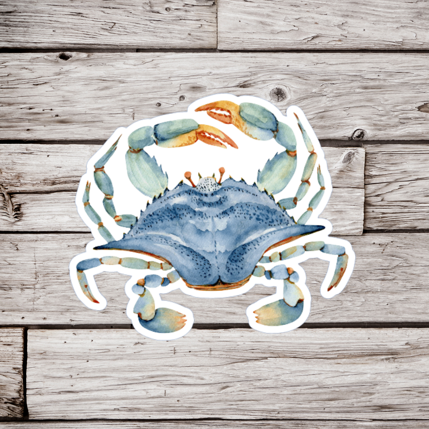 Blue Crab Sticker