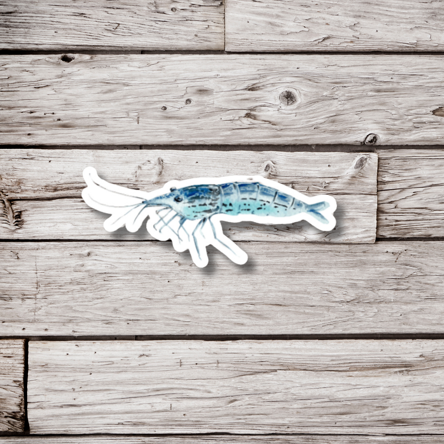 Blue Shrimp Sticker