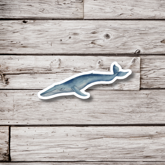 Blue Whale Sticker