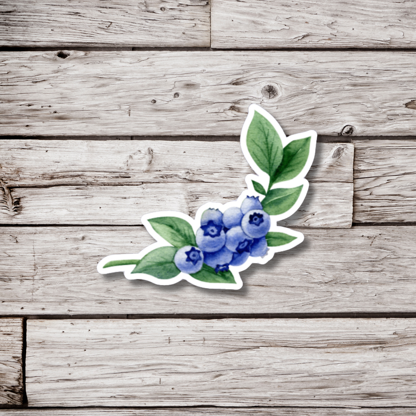 Blueberry Sticker