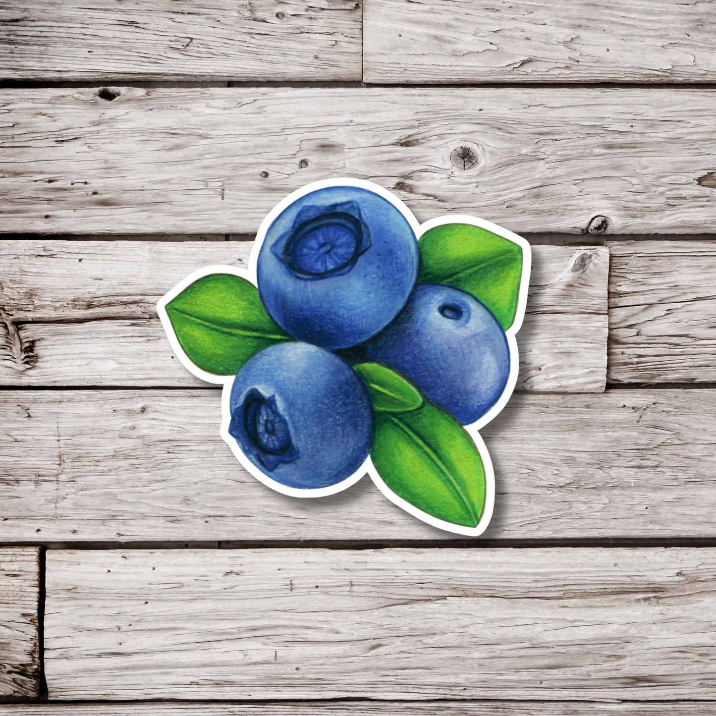 Blueberry Sticker