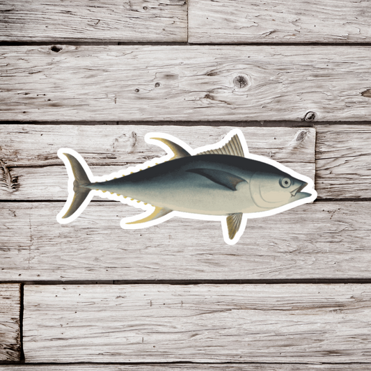 Bluefin Tuna Sticker or Magnet