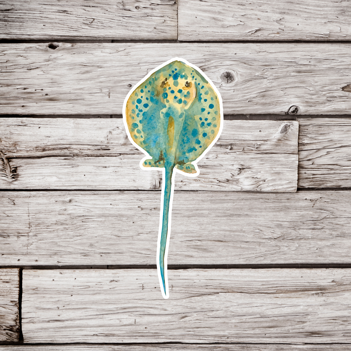 Bluespotted Ray Sticker