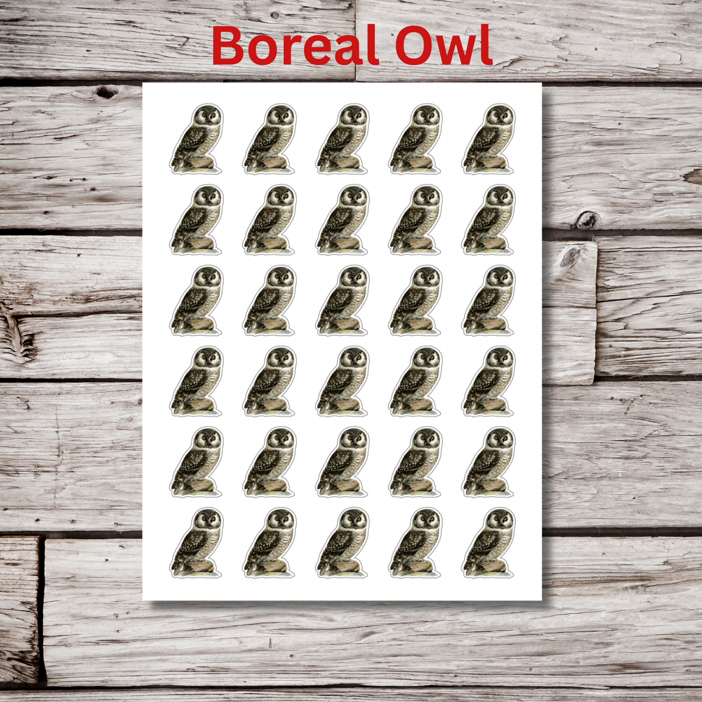 Owl Sticker Sheet