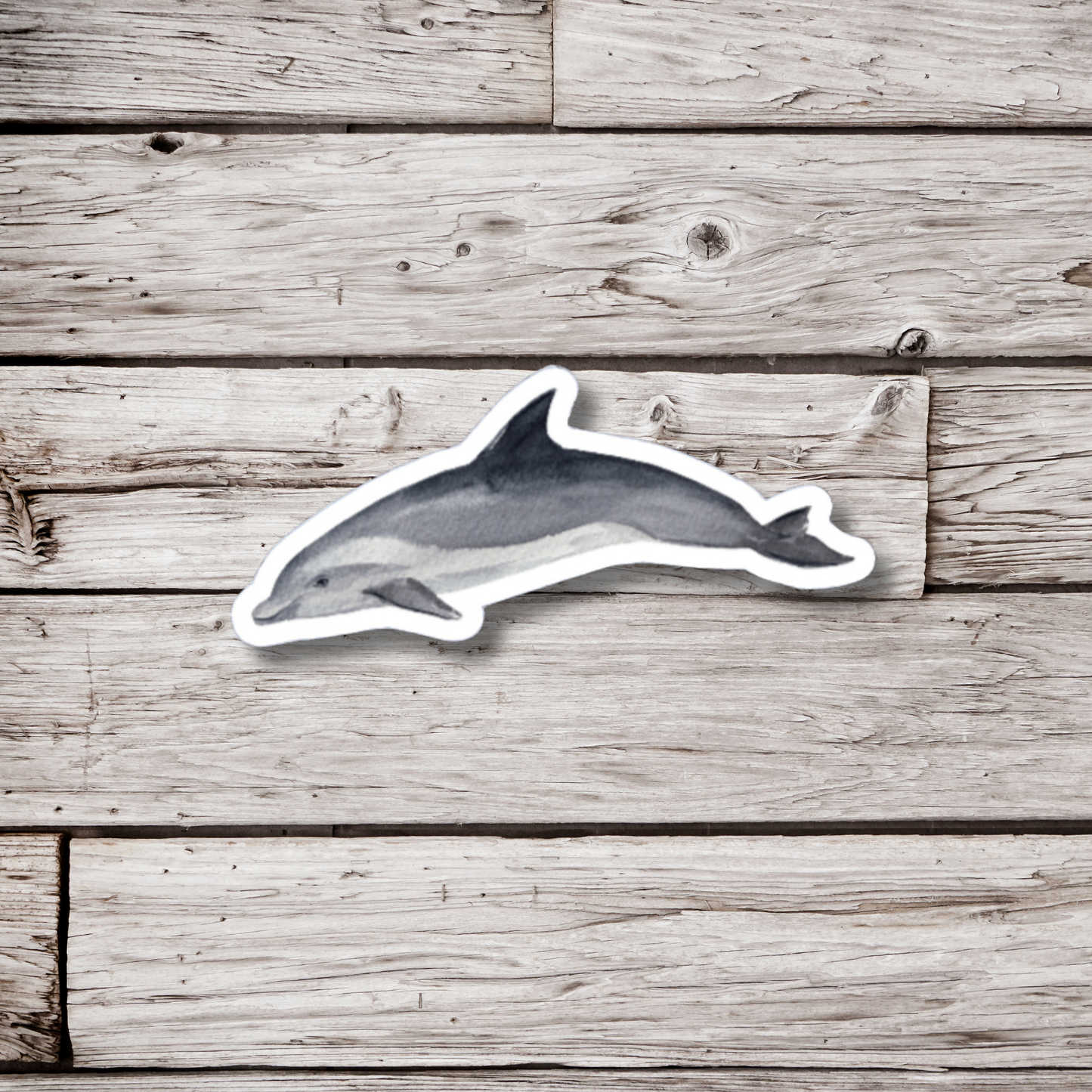 Bottlenose Dolphin Sticker