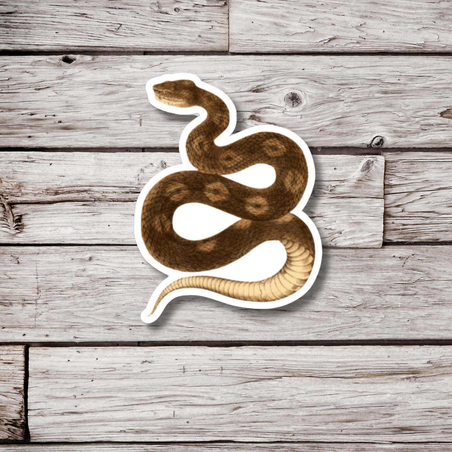 Brown Snake Sticker