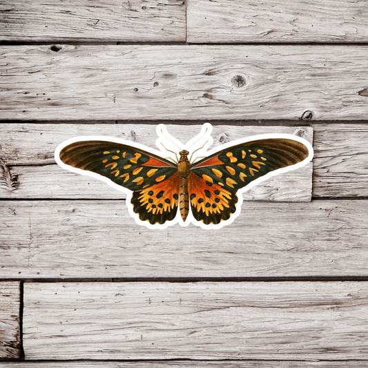 Butterfly Sticker