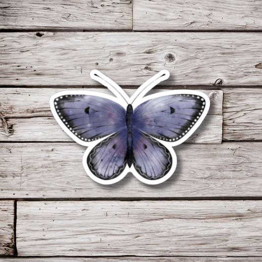 Butterfly Sticker