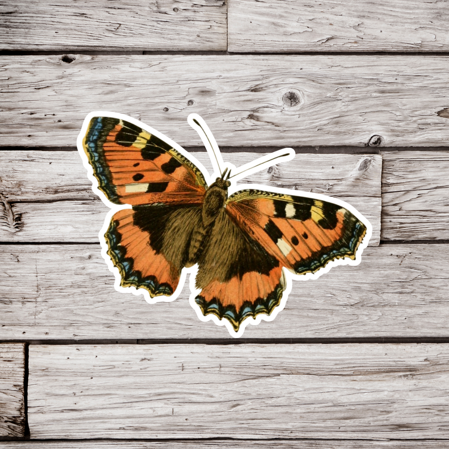 Butterfly Sticker